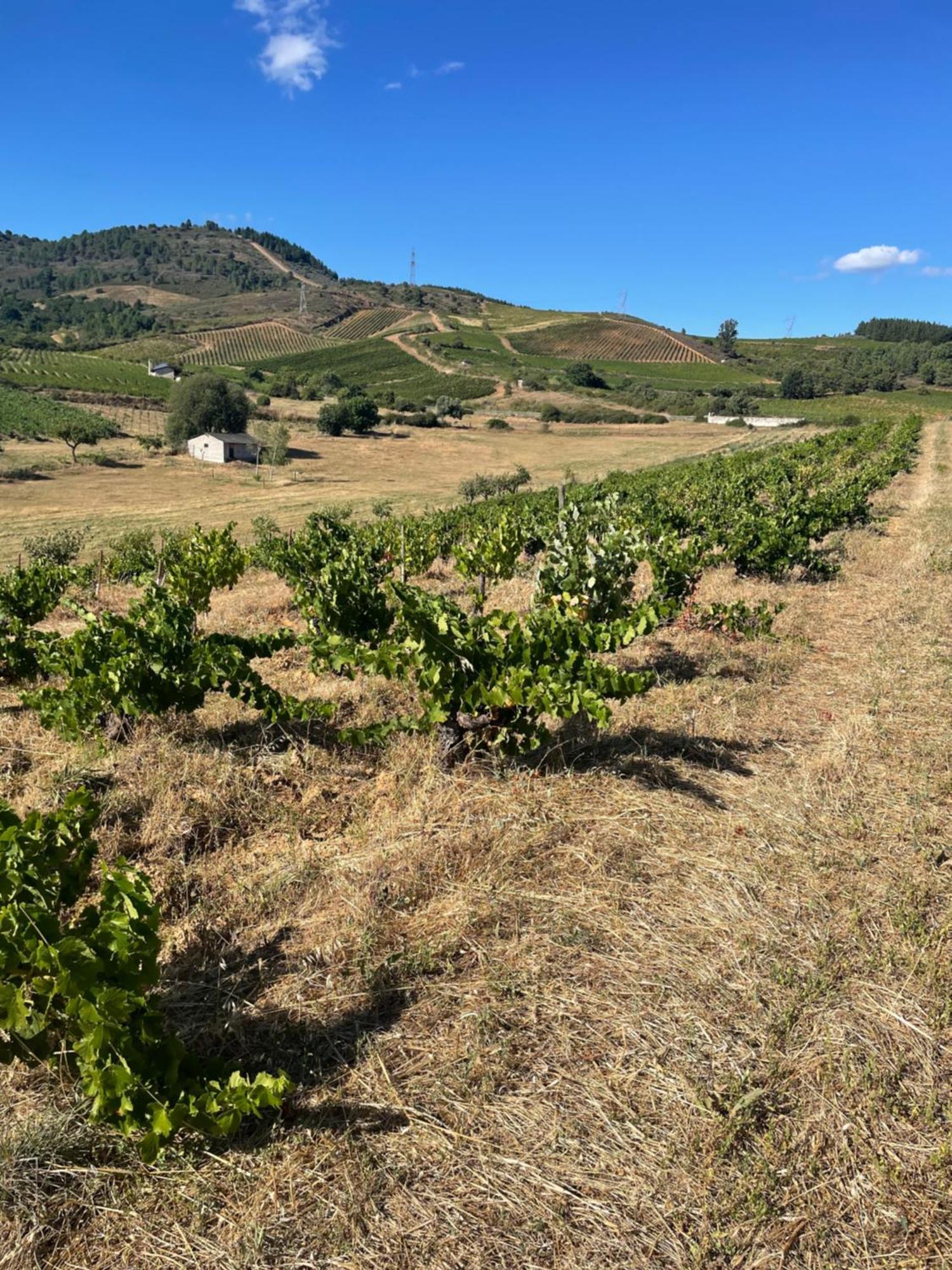 Boutique Finca Esencial Villafranca Del Bierzo Exterior photo
