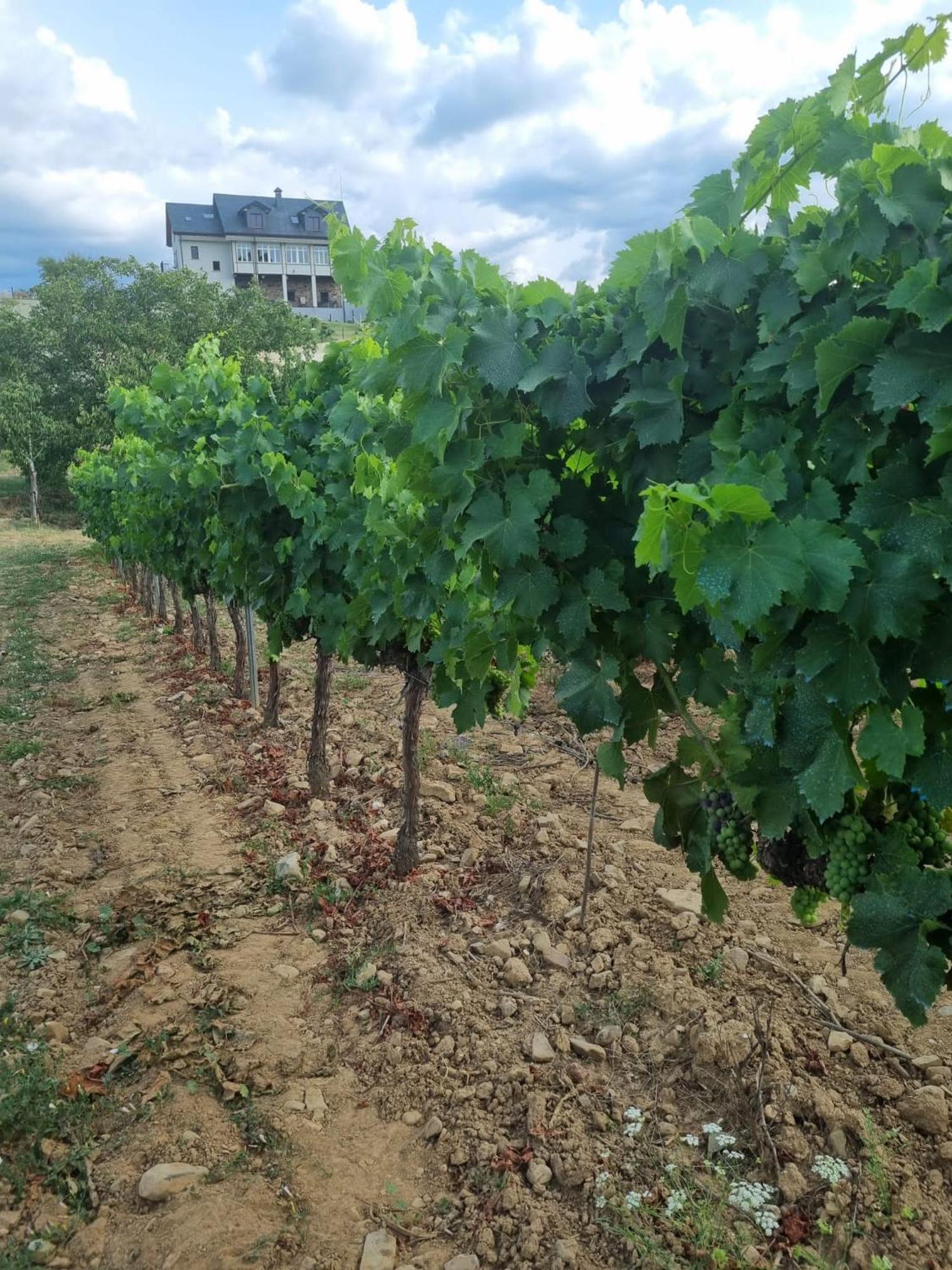 Boutique Finca Esencial Villafranca Del Bierzo Exterior photo
