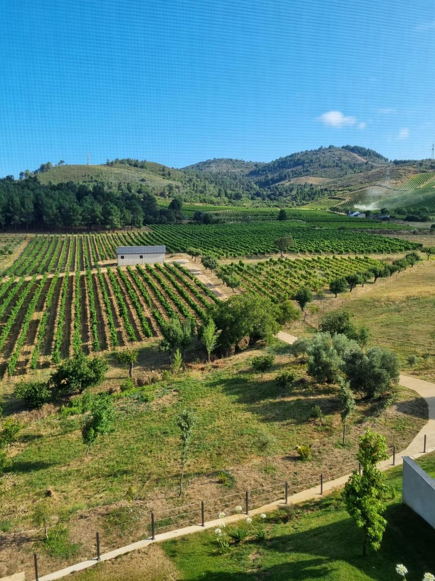 Boutique Finca Esencial Villafranca Del Bierzo Exterior photo